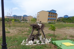 DSC00018