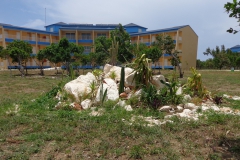 DSC00029